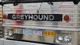 MCI Greyhound MC 9 bus