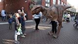 Dino-encounter, Dino-act