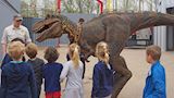 Dino-encounter, Dino-act
