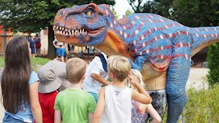 Dino-encounter, Dino-act