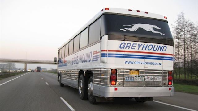 MCI Greyhound MC 9 bus